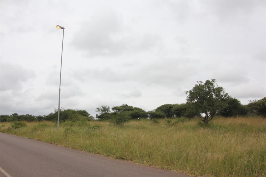 0 Bedroom Property for Sale in Bendor Limpopo