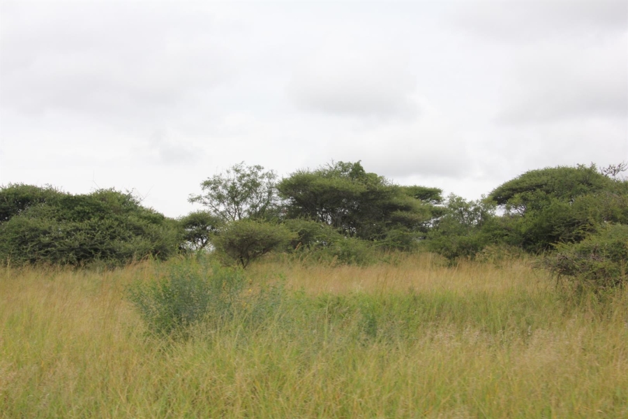 0 Bedroom Property for Sale in Bendor Limpopo