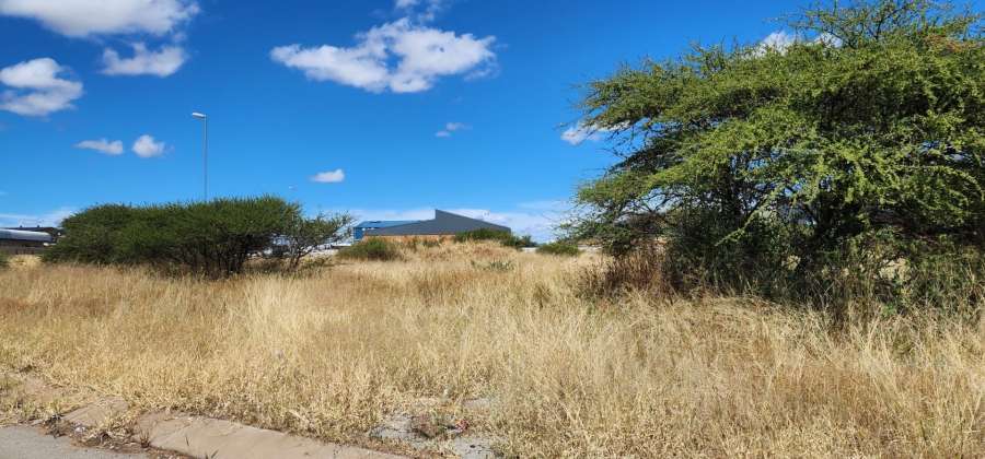 0 Bedroom Property for Sale in Magna Via Industrial Limpopo
