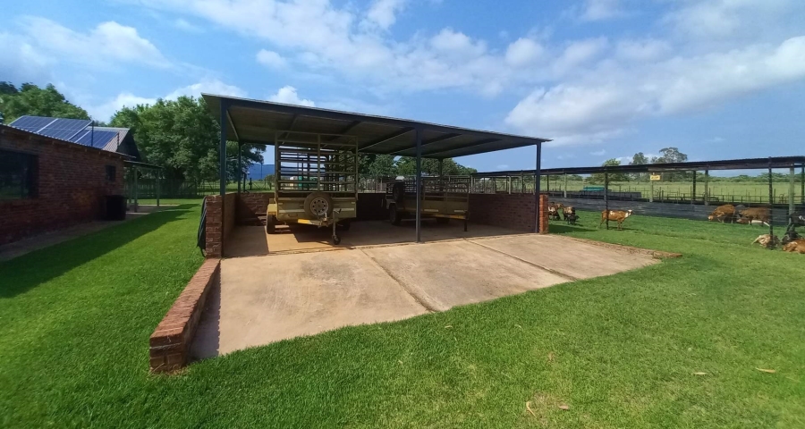 0 Bedroom Property for Sale in Vaalwater Limpopo
