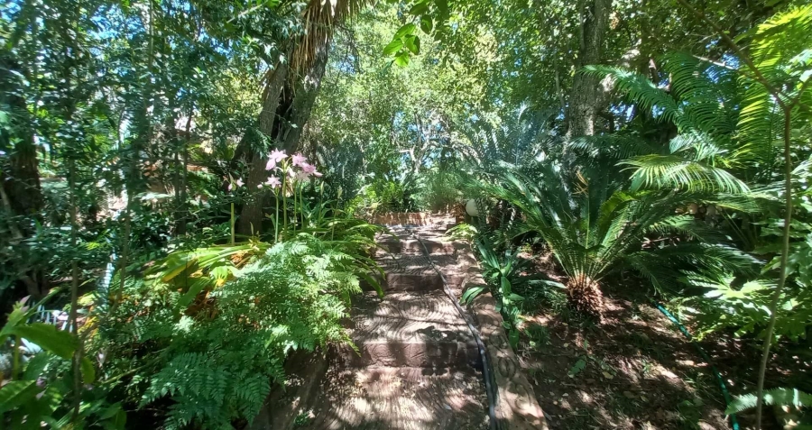 0 Bedroom Property for Sale in Vaalwater Limpopo