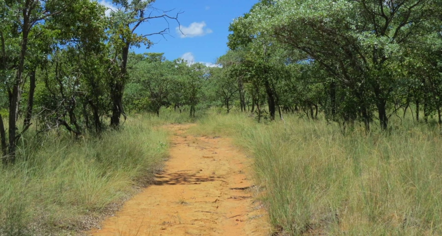 0 Bedroom Property for Sale in Vaalwater Limpopo