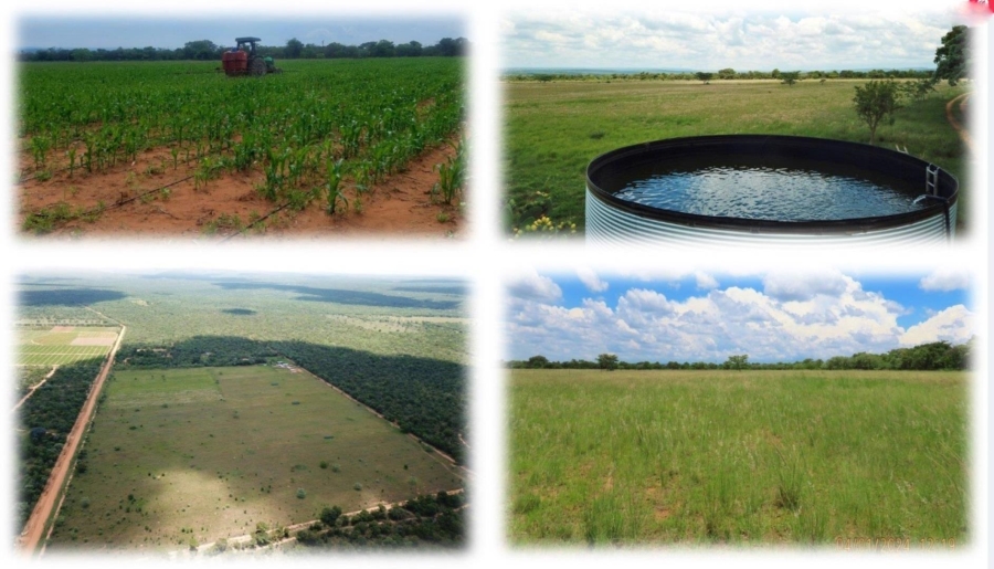 0 Bedroom Property for Sale in Vaalwater Limpopo