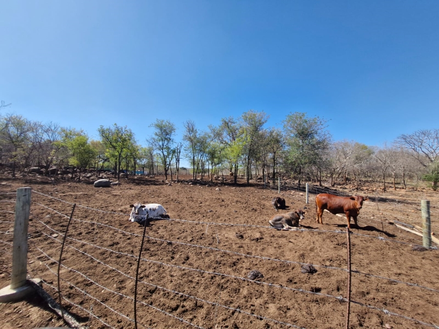 4 Bedroom Property for Sale in Tzaneen Rural Limpopo
