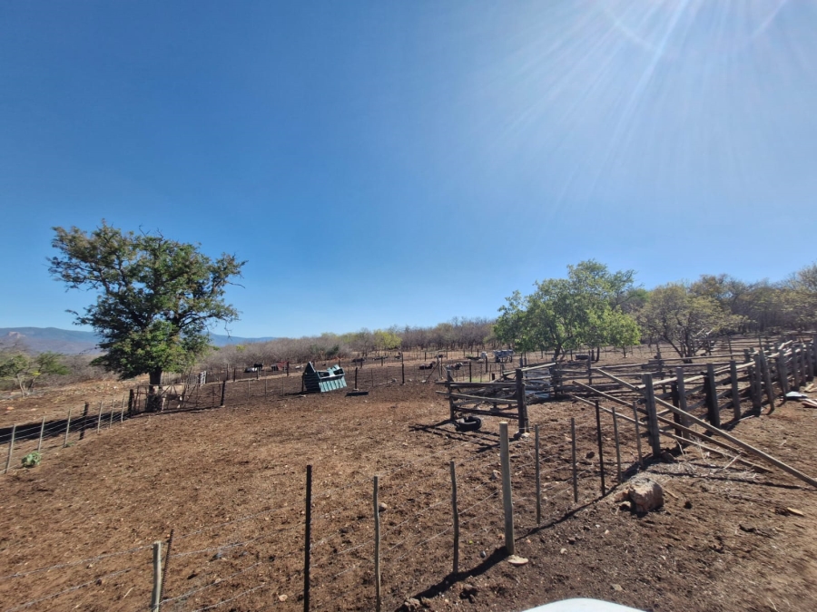 4 Bedroom Property for Sale in Tzaneen Rural Limpopo