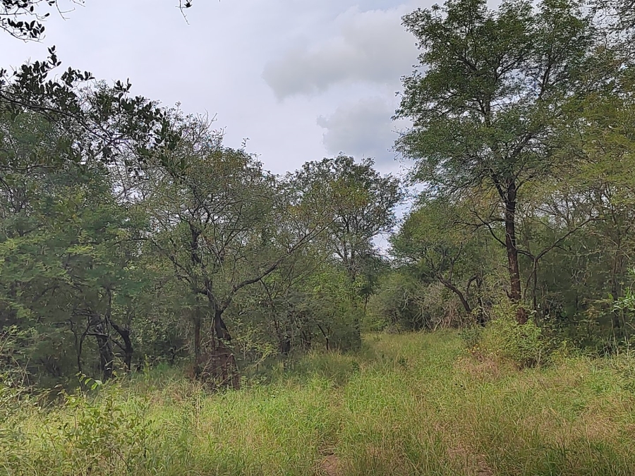 2 Bedroom Property for Sale in Tzaneen Rural Limpopo