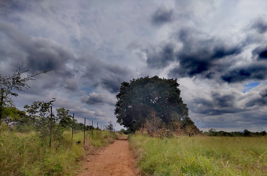 2 Bedroom Property for Sale in Tzaneen Rural Limpopo