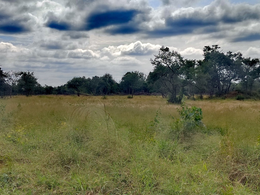 2 Bedroom Property for Sale in Tzaneen Rural Limpopo