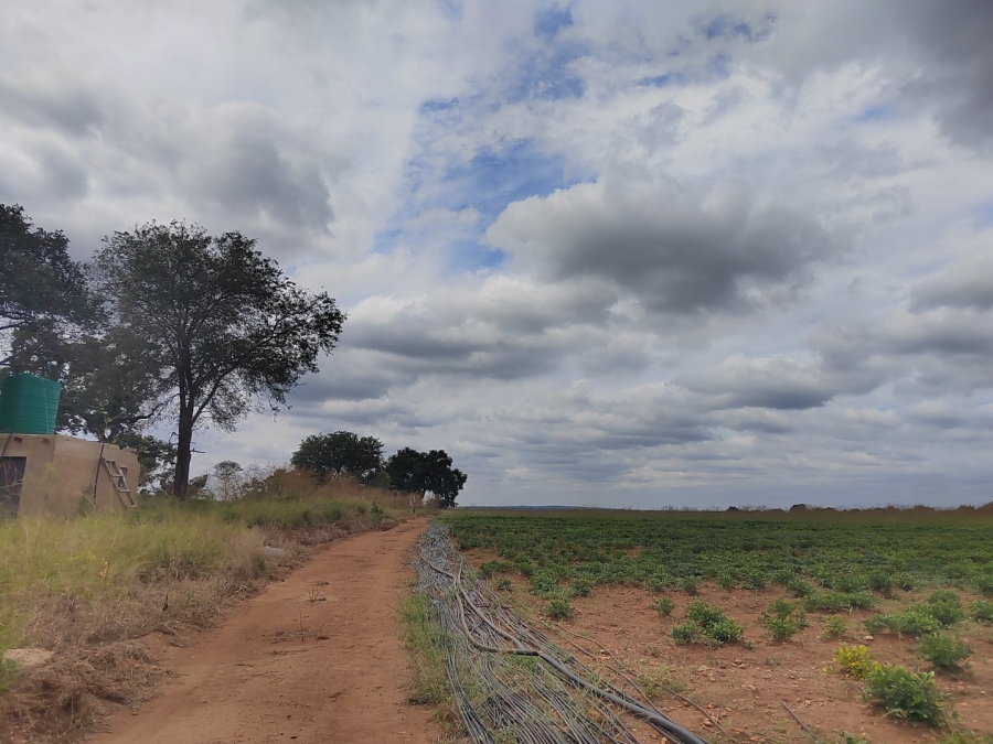 2 Bedroom Property for Sale in Tzaneen Rural Limpopo