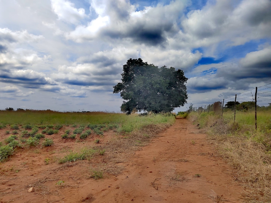 2 Bedroom Property for Sale in Tzaneen Rural Limpopo