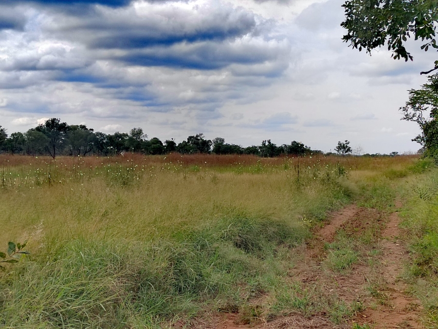 2 Bedroom Property for Sale in Tzaneen Rural Limpopo