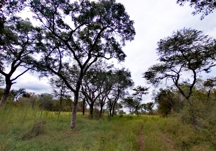 2 Bedroom Property for Sale in Tzaneen Rural Limpopo
