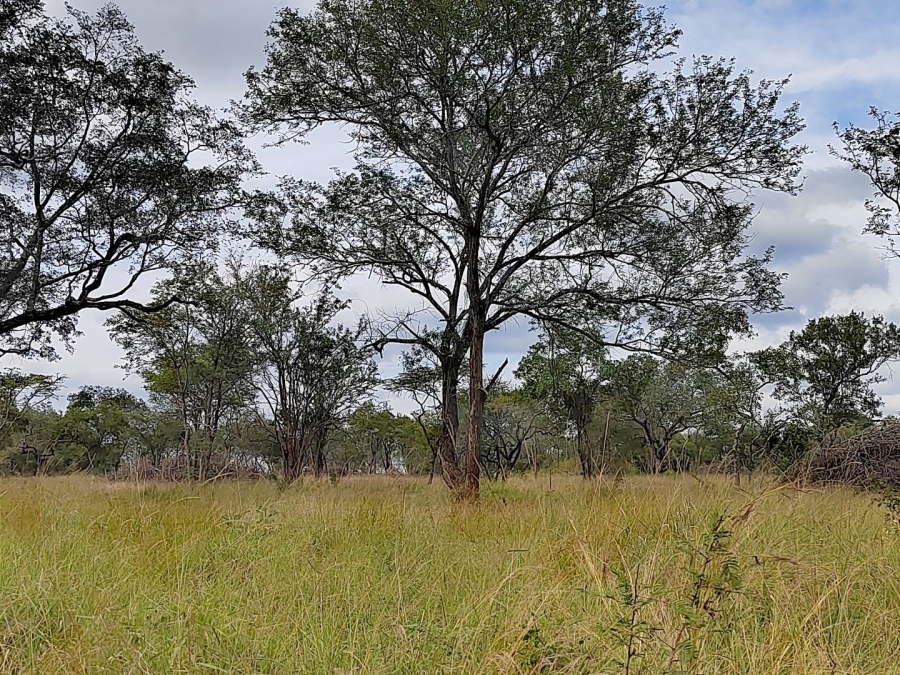 2 Bedroom Property for Sale in Tzaneen Rural Limpopo