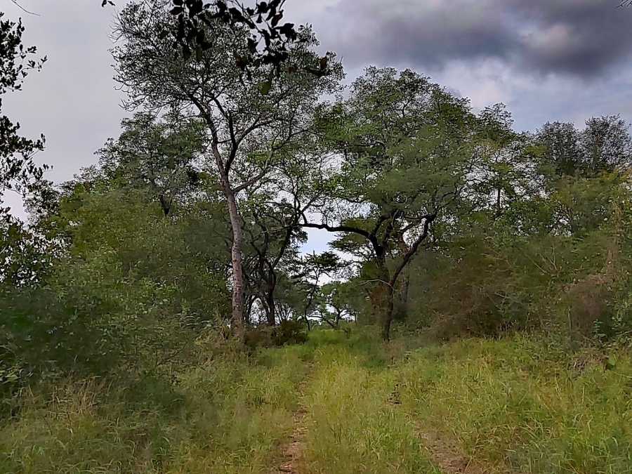 2 Bedroom Property for Sale in Tzaneen Rural Limpopo