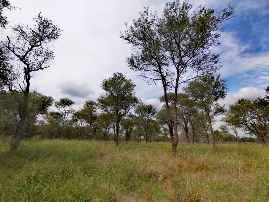 2 Bedroom Property for Sale in Tzaneen Rural Limpopo