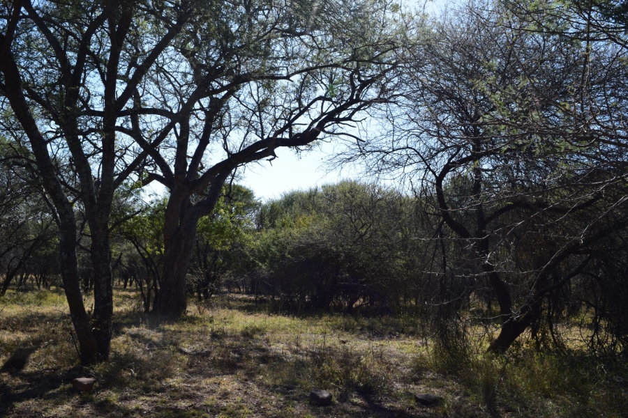 3 Bedroom Property for Sale in Lephalale Limpopo