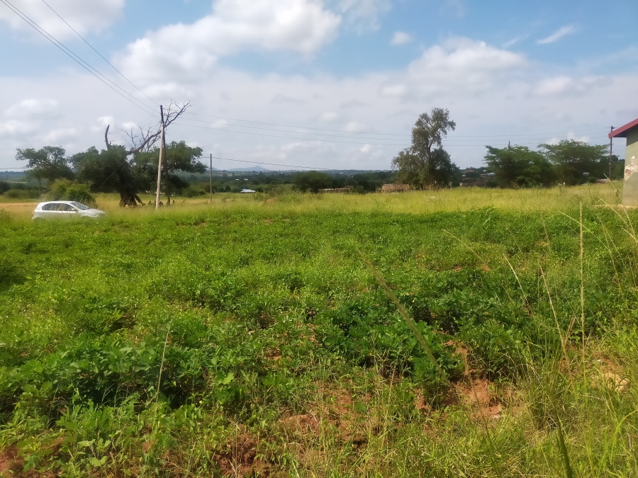 0 Bedroom Property for Sale in Muledane Limpopo