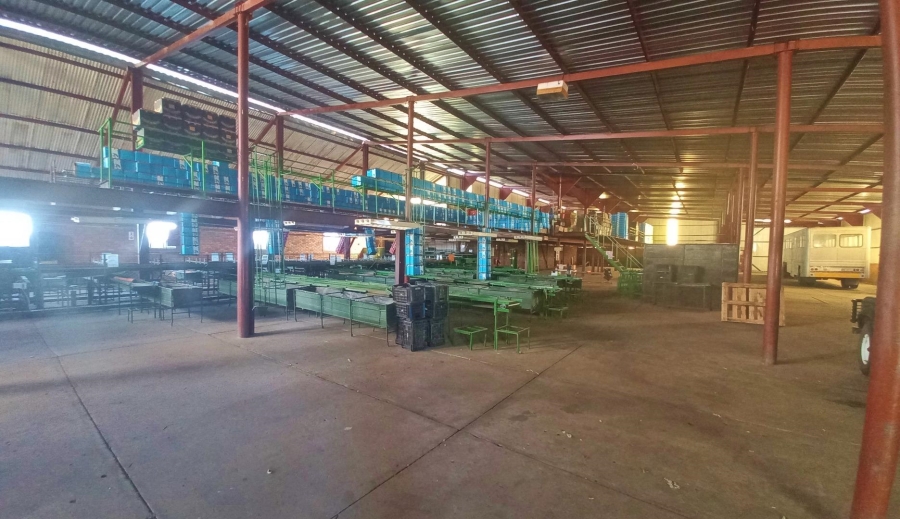 0 Bedroom Property for Sale in Vaalwater Limpopo
