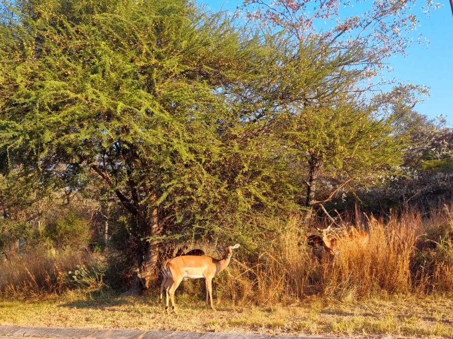 0 Bedroom Property for Sale in Koro Creek Golf Estate Limpopo