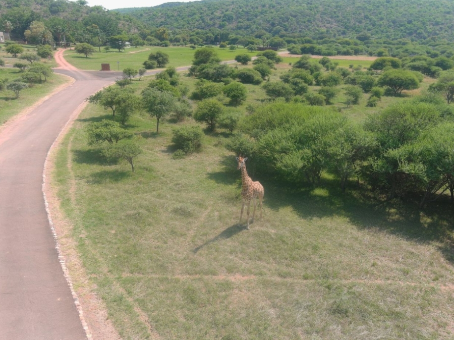 0 Bedroom Property for Sale in Intaba Indle Wilderness Estate Limpopo