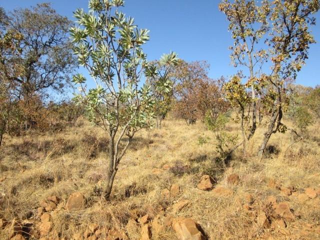 0 Bedroom Property for Sale in Bela Bela Limpopo
