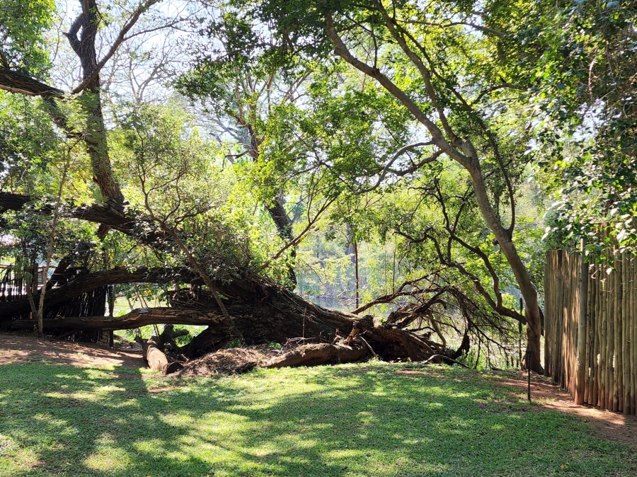 20 Bedroom Property for Sale in Bela Bela Limpopo