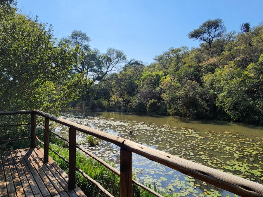 20 Bedroom Property for Sale in Bela Bela Limpopo