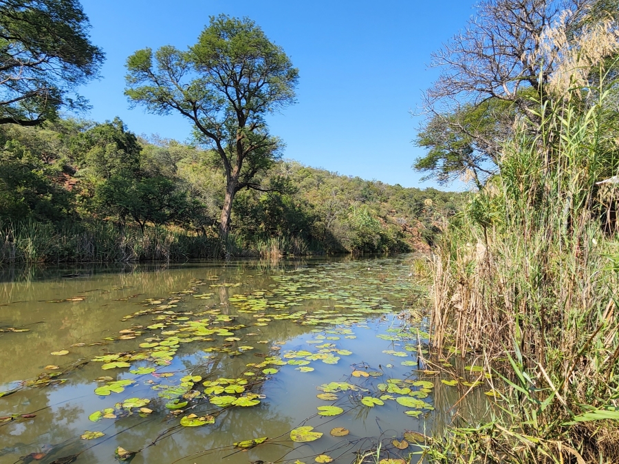 20 Bedroom Property for Sale in Bela Bela Limpopo