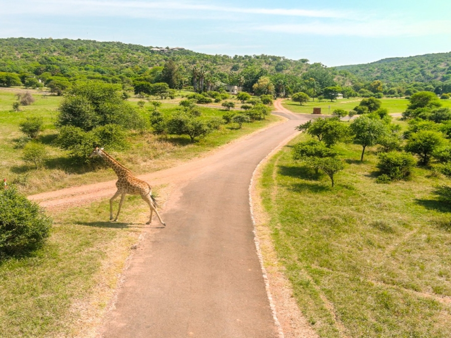 0 Bedroom Property for Sale in Bela Bela Limpopo