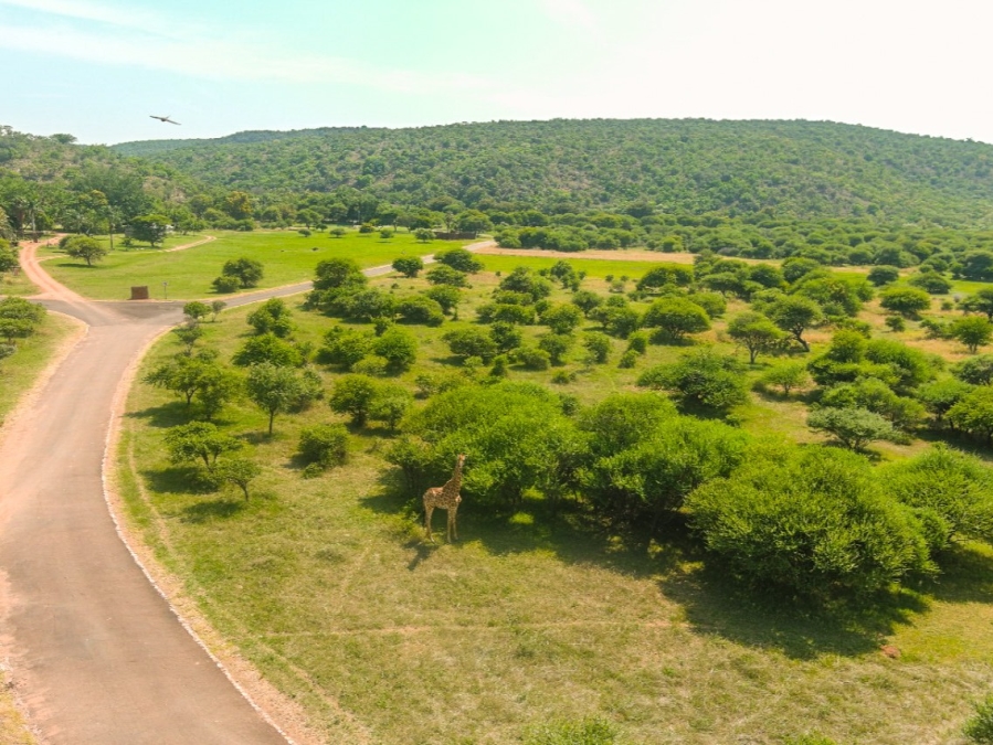 0 Bedroom Property for Sale in Bela Bela Limpopo