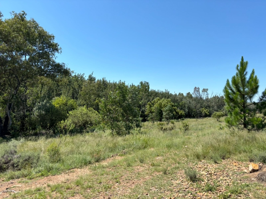 11 Bedroom Property for Sale in Bela Bela Limpopo