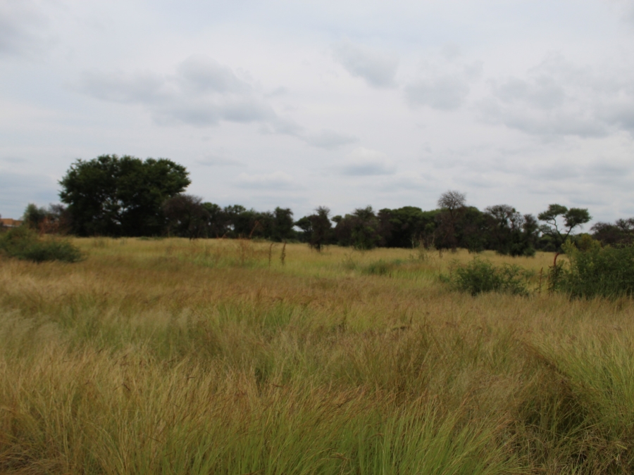 0 Bedroom Property for Sale in Northam Limpopo