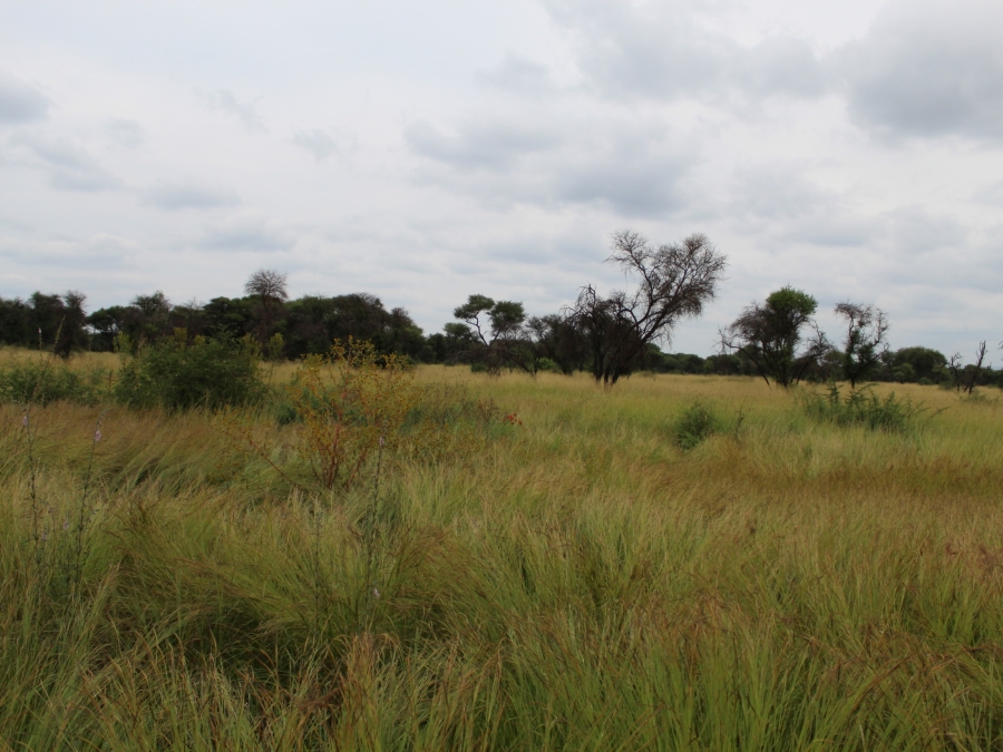 0 Bedroom Property for Sale in Northam Limpopo