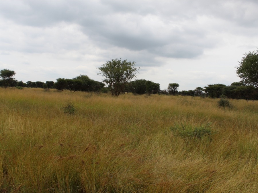 0 Bedroom Property for Sale in Northam Limpopo