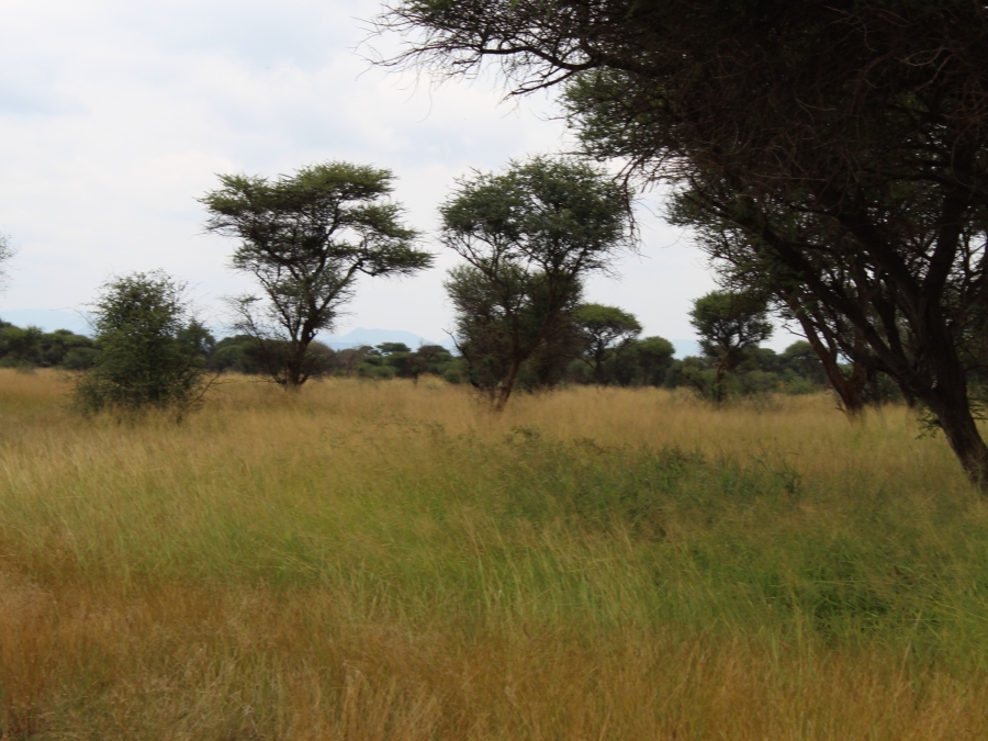 0 Bedroom Property for Sale in Northam Limpopo