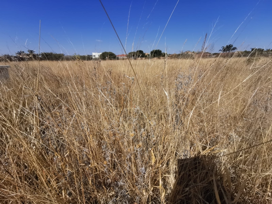 0 Bedroom Property for Sale in Bendor Limpopo