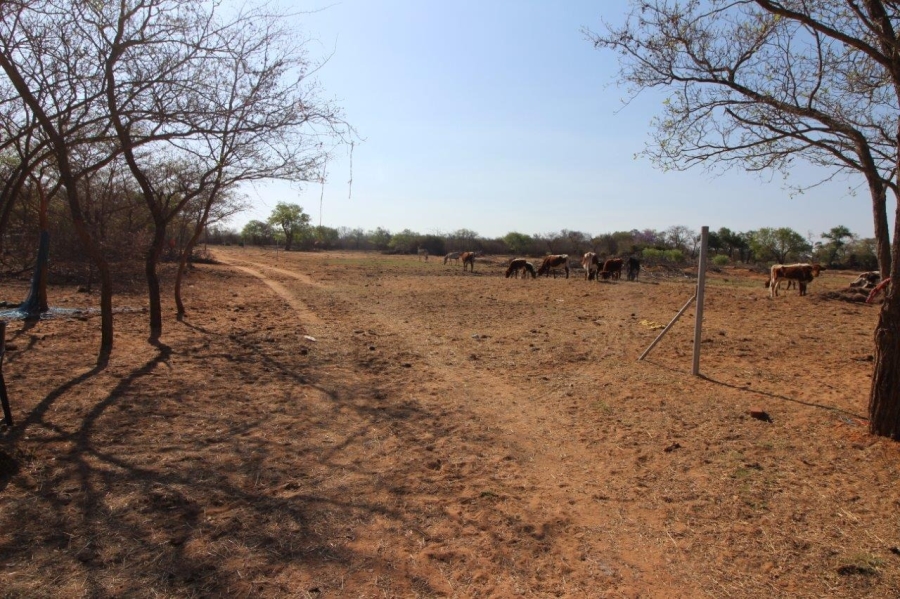4 Bedroom Property for Sale in Modimolle Limpopo