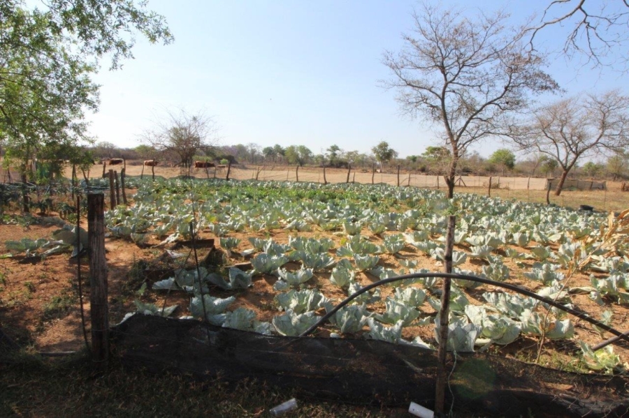 4 Bedroom Property for Sale in Modimolle Limpopo