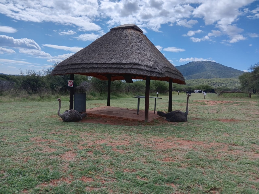 27 Bedroom Property for Sale in Groblersdal Rural Limpopo