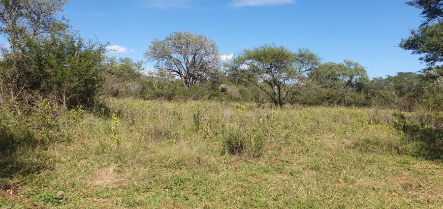 27 Bedroom Property for Sale in Groblersdal Rural Limpopo