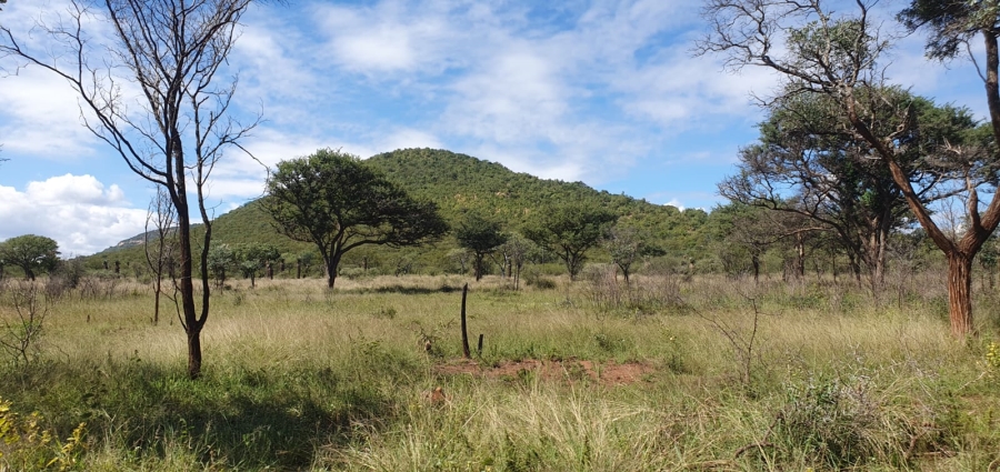 27 Bedroom Property for Sale in Groblersdal Rural Limpopo