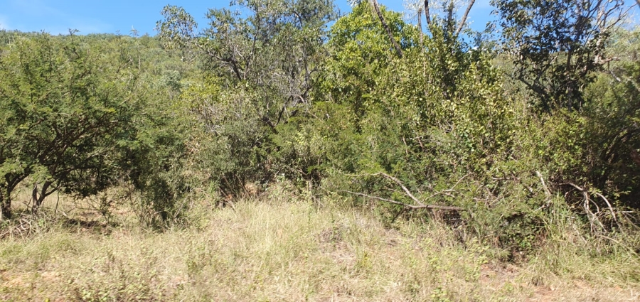 27 Bedroom Property for Sale in Groblersdal Rural Limpopo