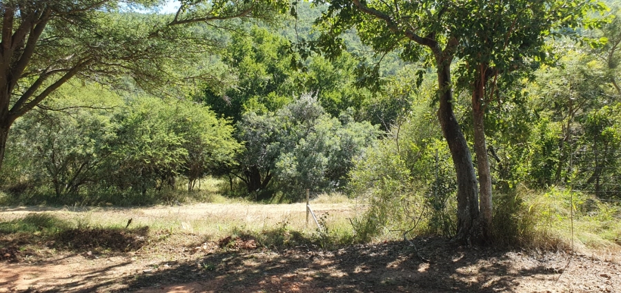 27 Bedroom Property for Sale in Groblersdal Rural Limpopo