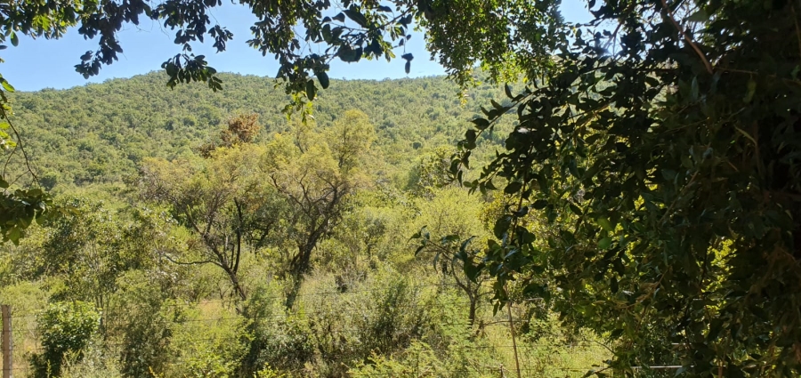 27 Bedroom Property for Sale in Groblersdal Rural Limpopo