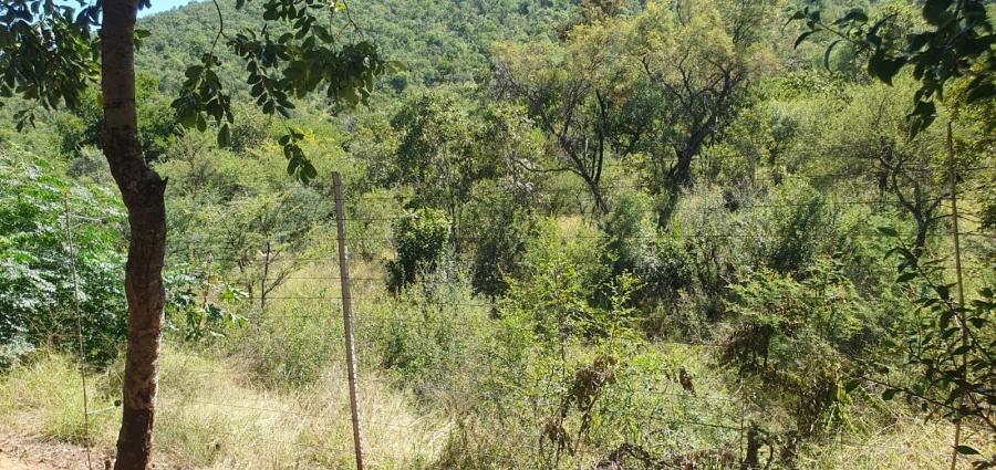 27 Bedroom Property for Sale in Groblersdal Rural Limpopo