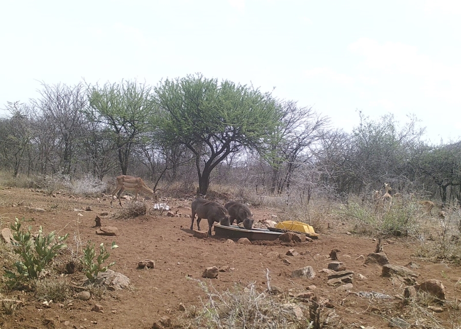 27 Bedroom Property for Sale in Groblersdal Rural Limpopo
