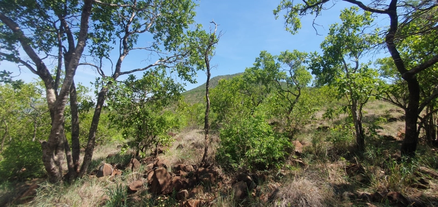27 Bedroom Property for Sale in Groblersdal Rural Limpopo