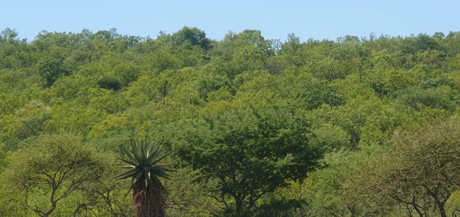 27 Bedroom Property for Sale in Groblersdal Rural Limpopo