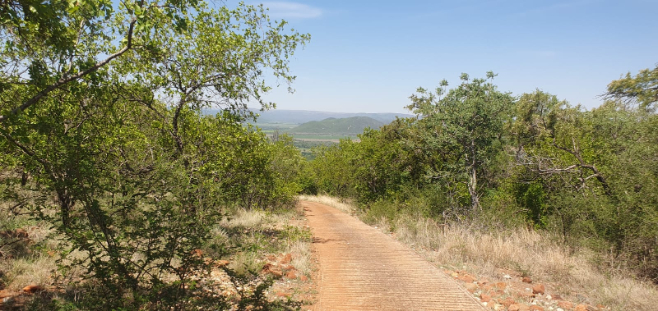27 Bedroom Property for Sale in Groblersdal Rural Limpopo