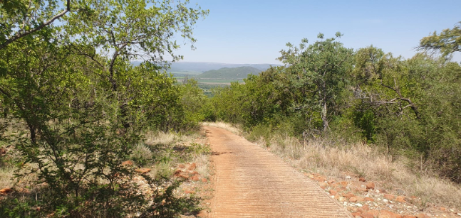 27 Bedroom Property for Sale in Groblersdal Rural Limpopo